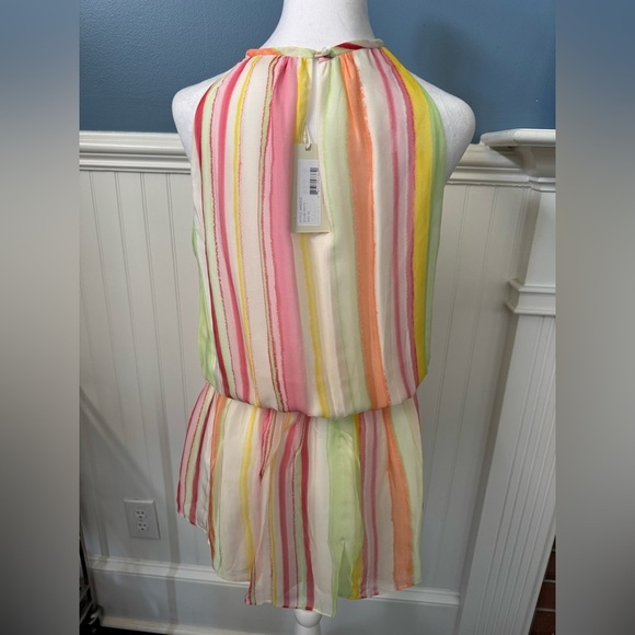 NEW WITH TAGS Ramy Brook Striped Paris Silk Chiffon Sleeveless Minidress~ Med - Picture 8 of 13